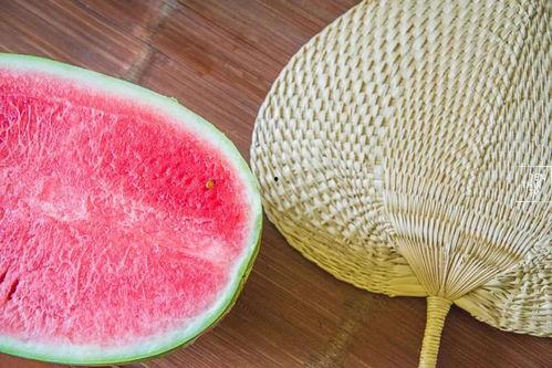 只吃宁夏瓜,探寻只吃宁夏瓜的独特魅力