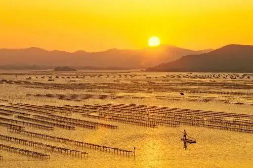 惠州网红打卡村在哪里,惠州网红打卡村探秘之旅