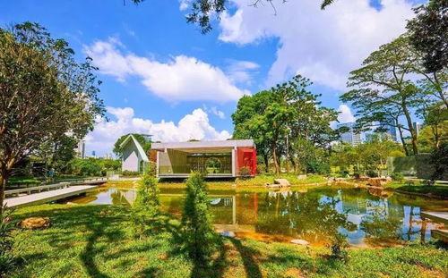 网红香蜜公园浪漫,网红打卡地，浪漫邂逅的梦幻仙境