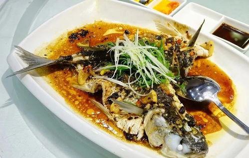 明星吃金华的鱼,探寻金华鱼的美味传奇