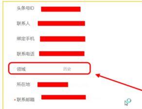 头条号写作领域怎么选定,如何打造爆款文章副标题