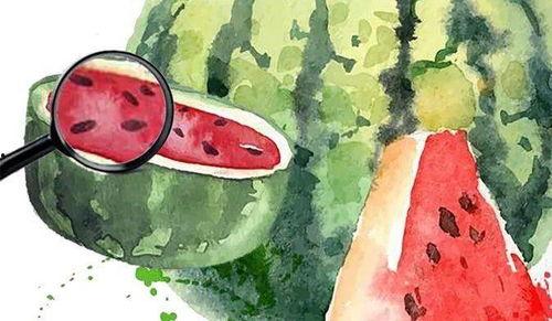 语音型吃瓜,瓜界风云录